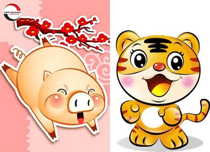 Tuổi dần và hợi có hợp nhau không? Cùng tìm hiểu?