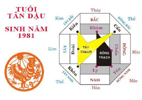 Bố trí nhà ở theo phong thủy tuổi Tân Dậu 1981