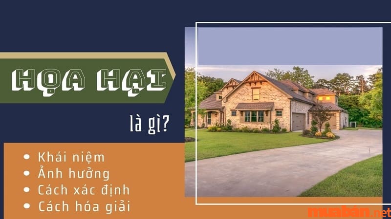 Hoạ hại là gì?