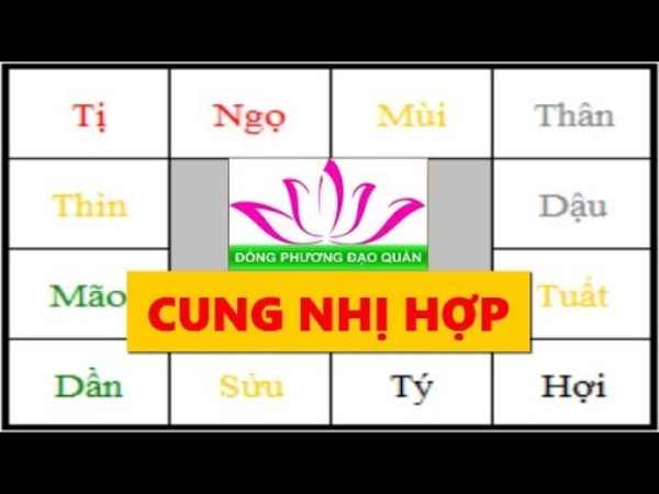 Nhị hợp là gì?