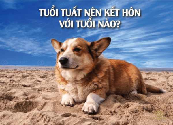 Người tuổi Tuất nên kết hợp làm ăn với tuổi nào?