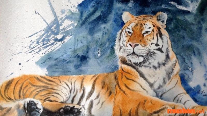 Luận giải tuổi Bính Dần 1986 hợp số nào trong phong thủy