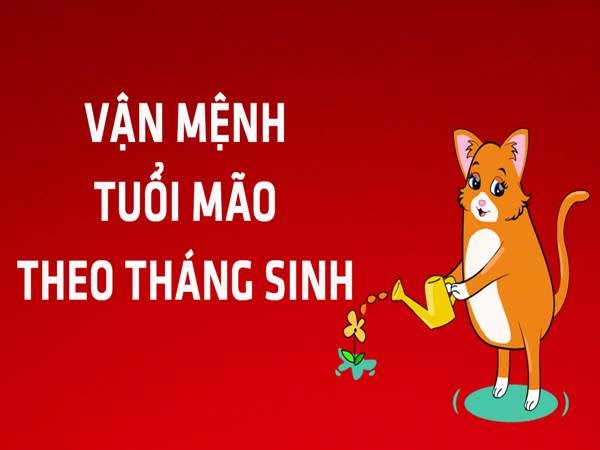 Tuổi Mão sinh tháng nào tốt? tuổi Mèo nên sinh tháng nào?