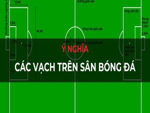Ý nghĩa các vạch kẻ sân bóng đá