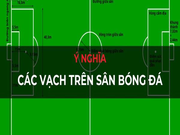 Ý nghĩa các vạch kẻ sân bóng đá: Cấu trúc, chức năng