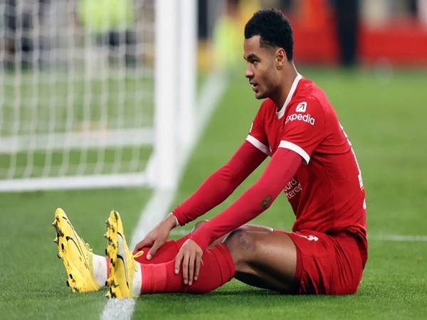 Gakpo: “Liverpool sẽ sớm tìm lại đúng hướng”
