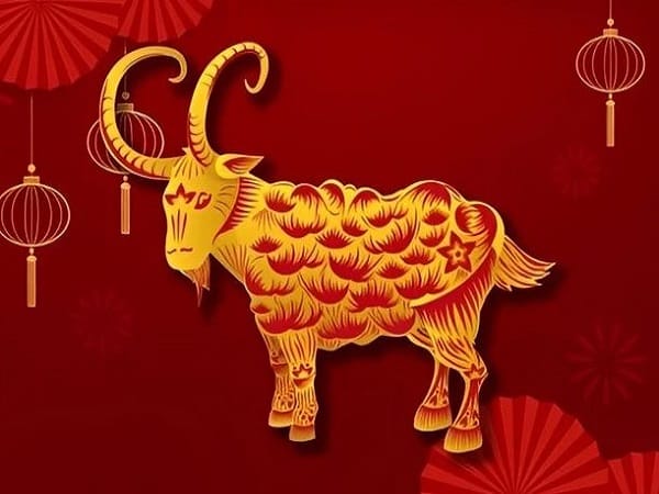 con số may mắn tuổi Mùi 20/11/2025