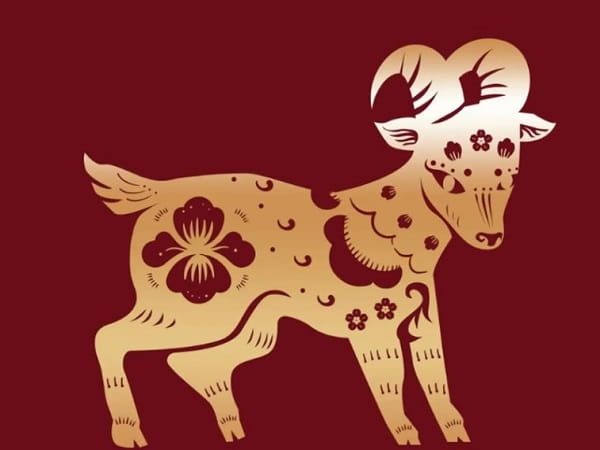 Tuổi Mùi ngày 20/11/2025 nên chọn con số may mắn nào?